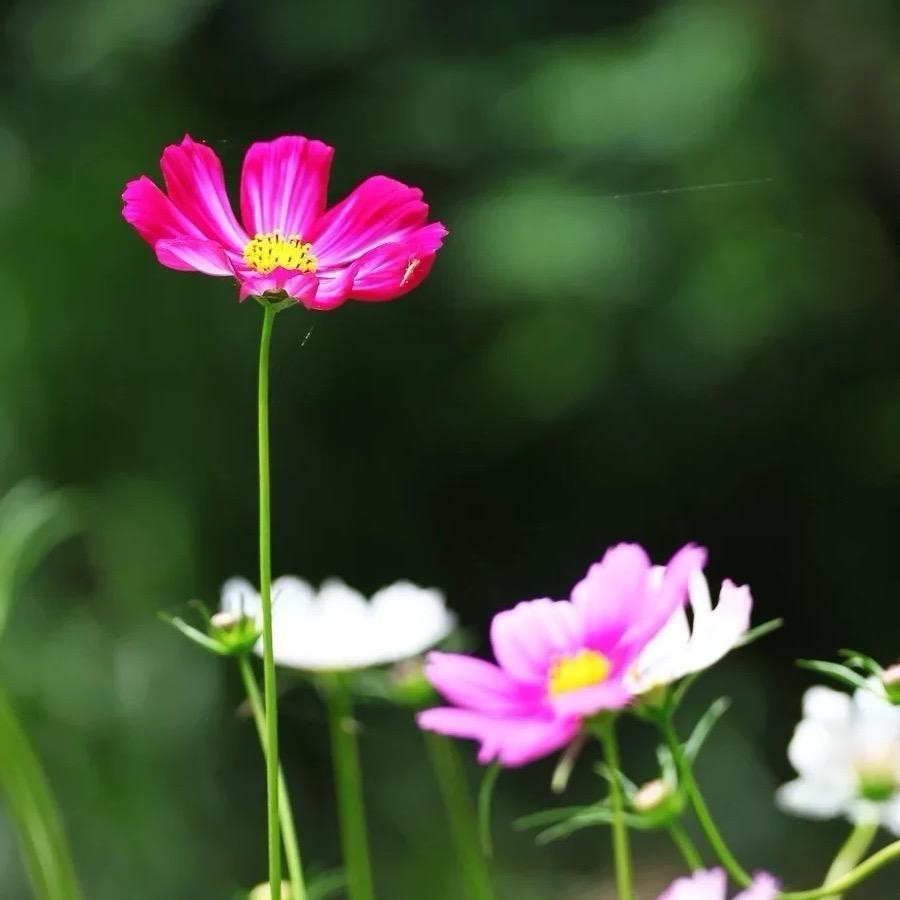 丽婷（橱窗优选好物）