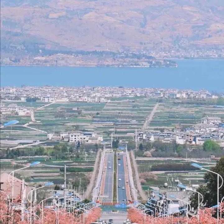 净土尘埃