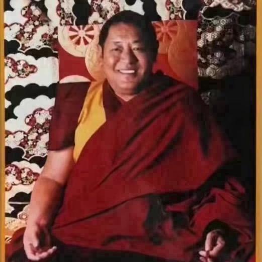 🦌洛吉措 📿🧘🏼‍♀️