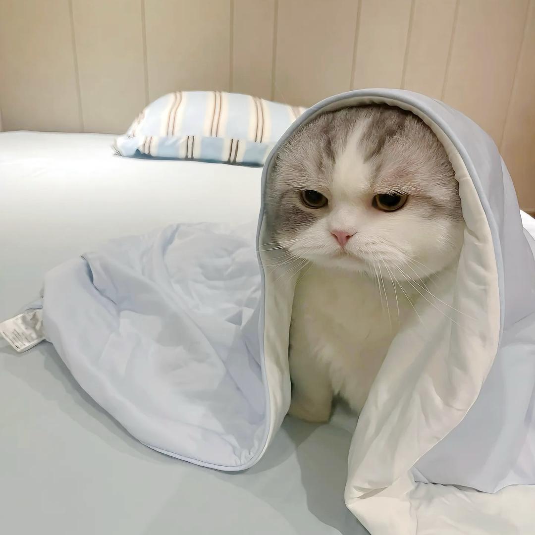 晚清