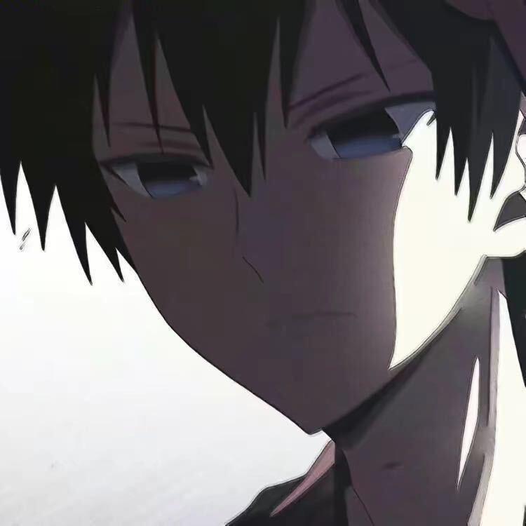 爱吃鸭腿的趿拉板