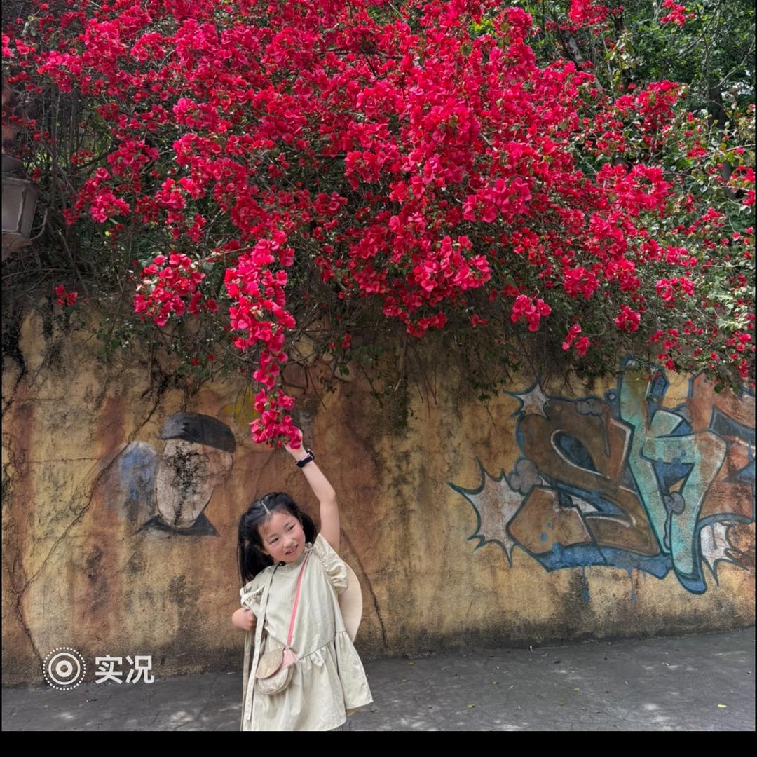 李嘟嘟和李灿灿