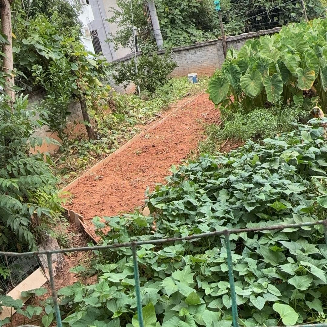 小小脚百货店