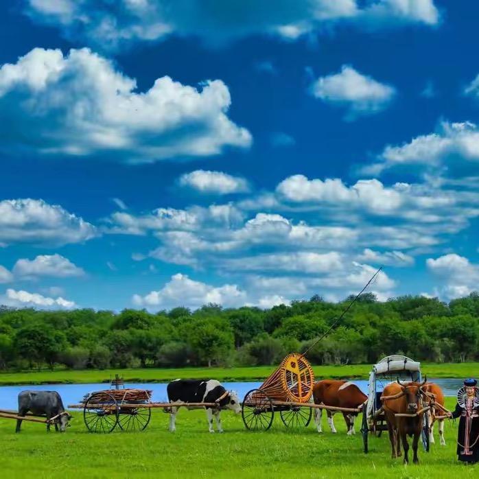 内蒙古特产美食