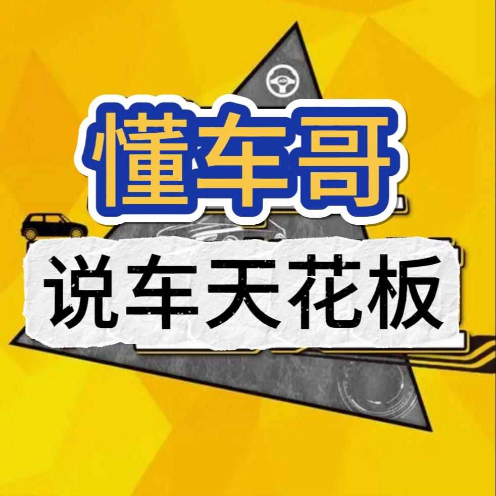 懂车哥说车天花板