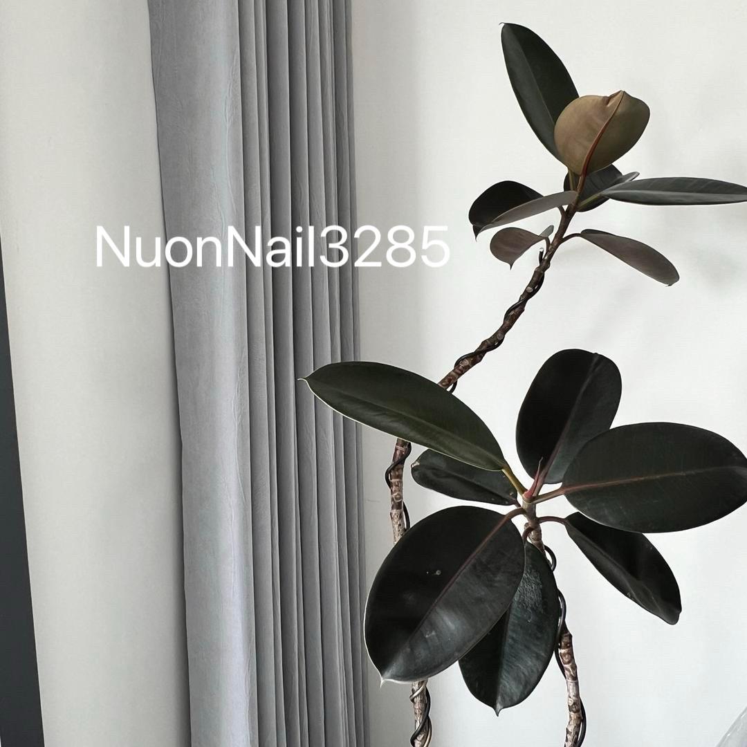 Nuon.Nail西华上亿店