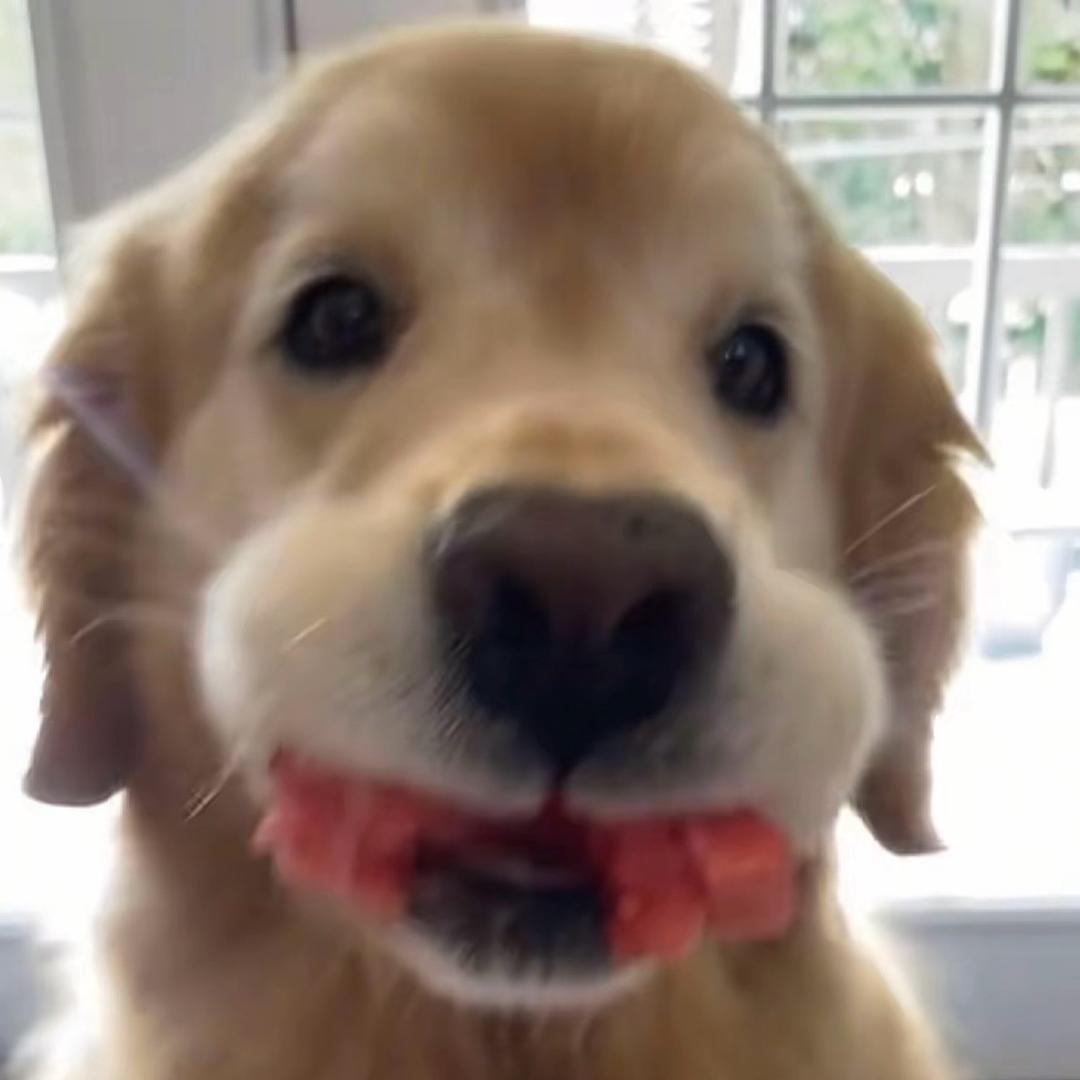 睡觉怎么怎么难