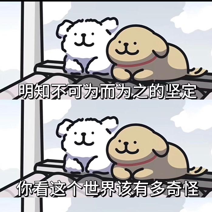 也行（小石头）