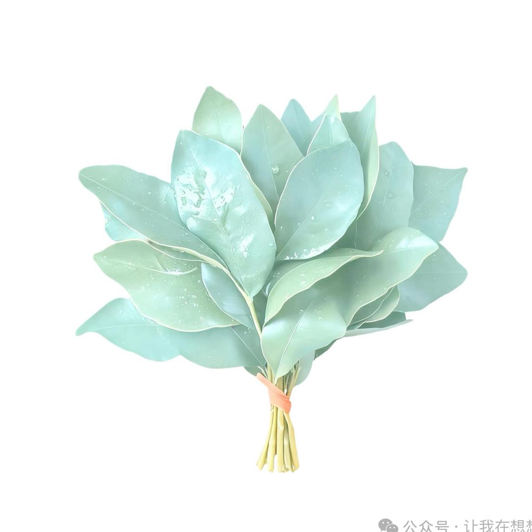 让我在想想