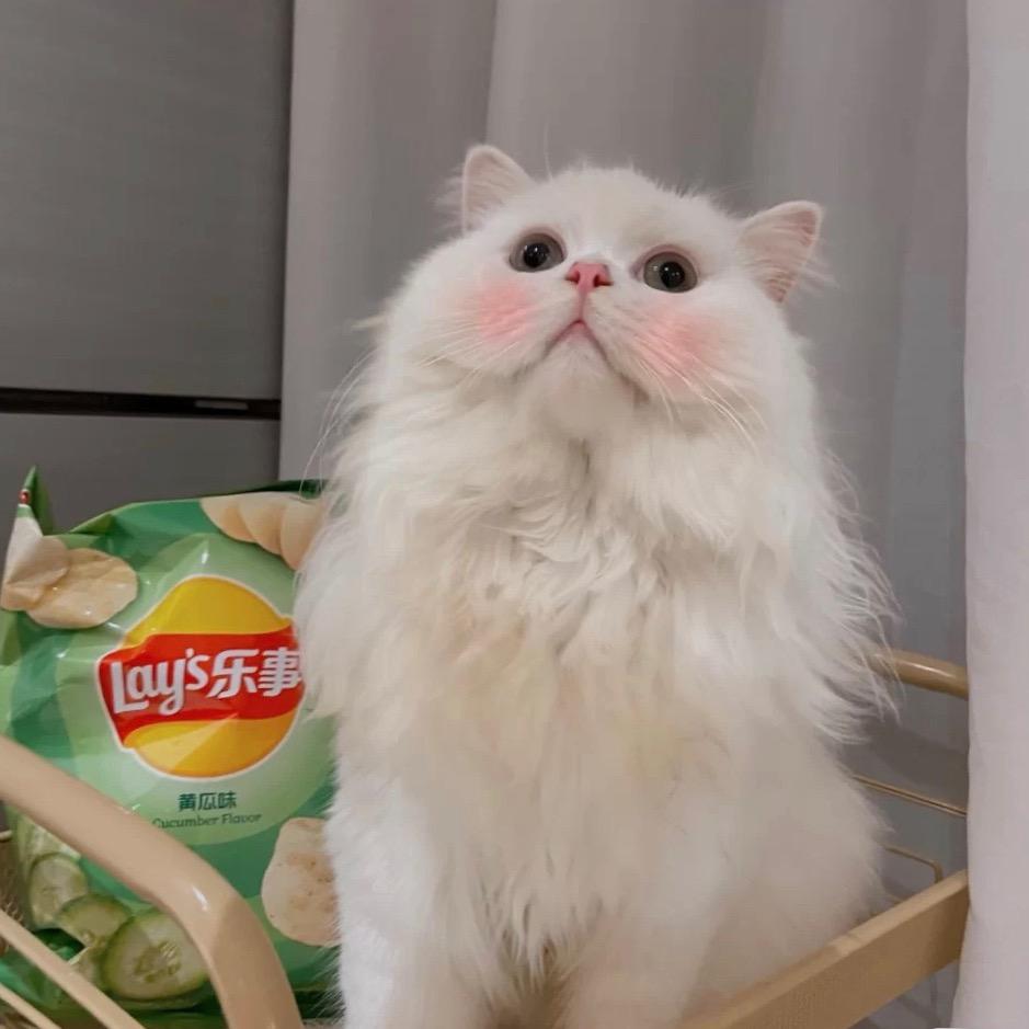 一周困⁸天