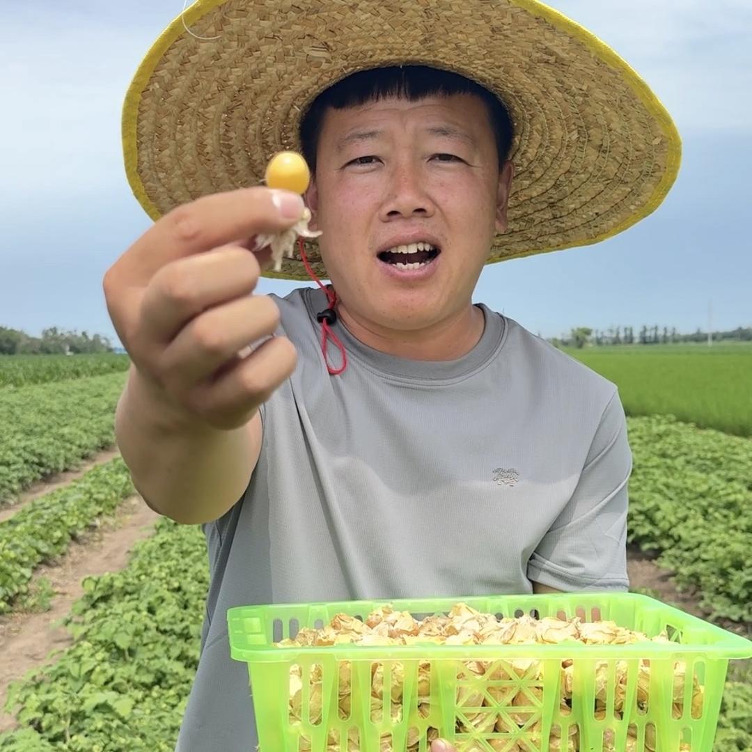 豆腐匠与农产品