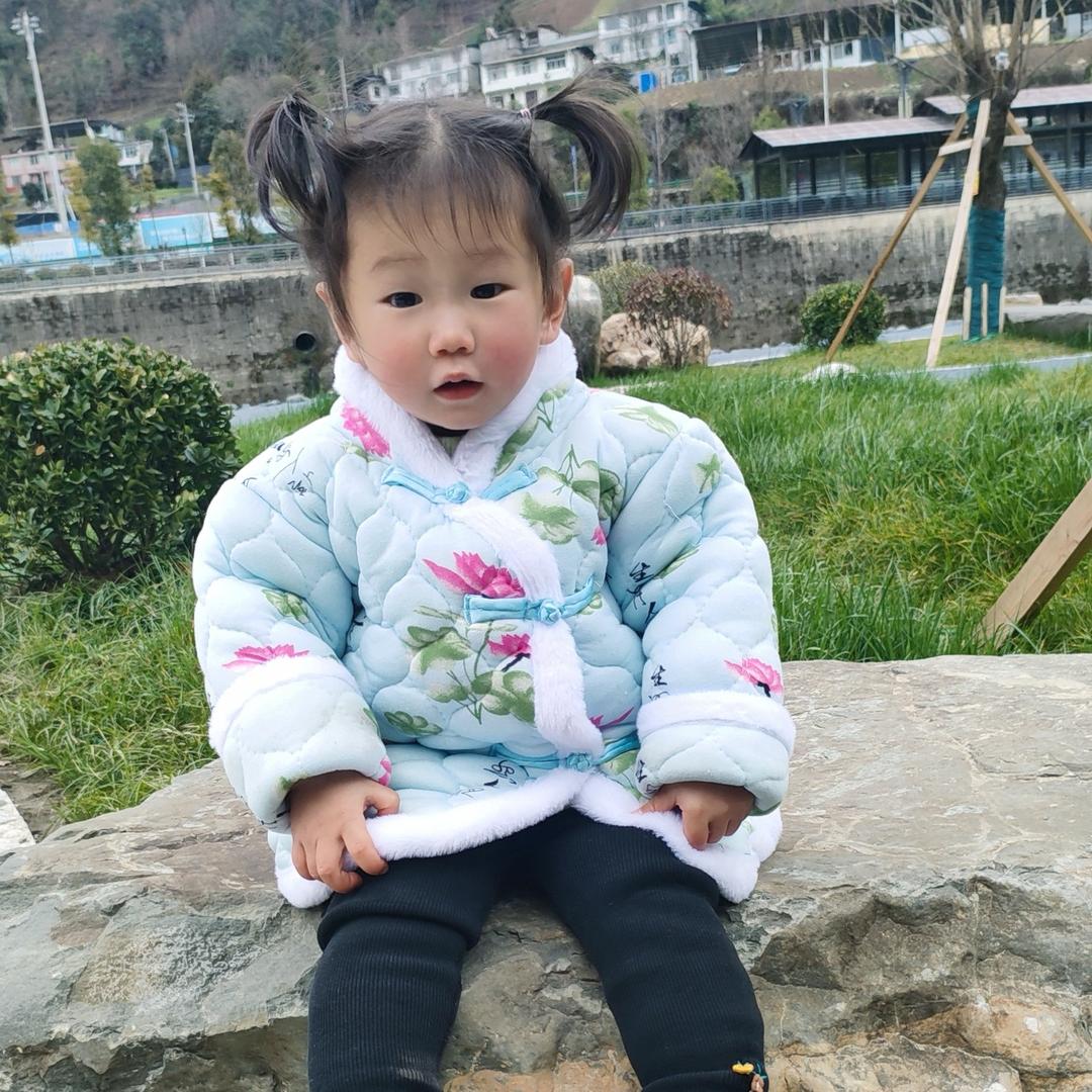 风替我自由