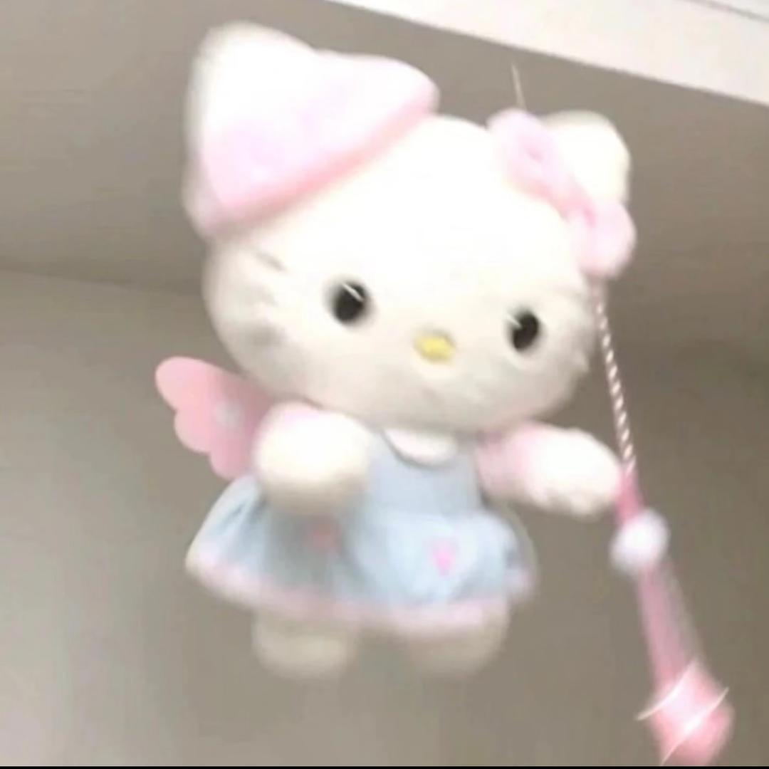 发发不吃瓜瓜