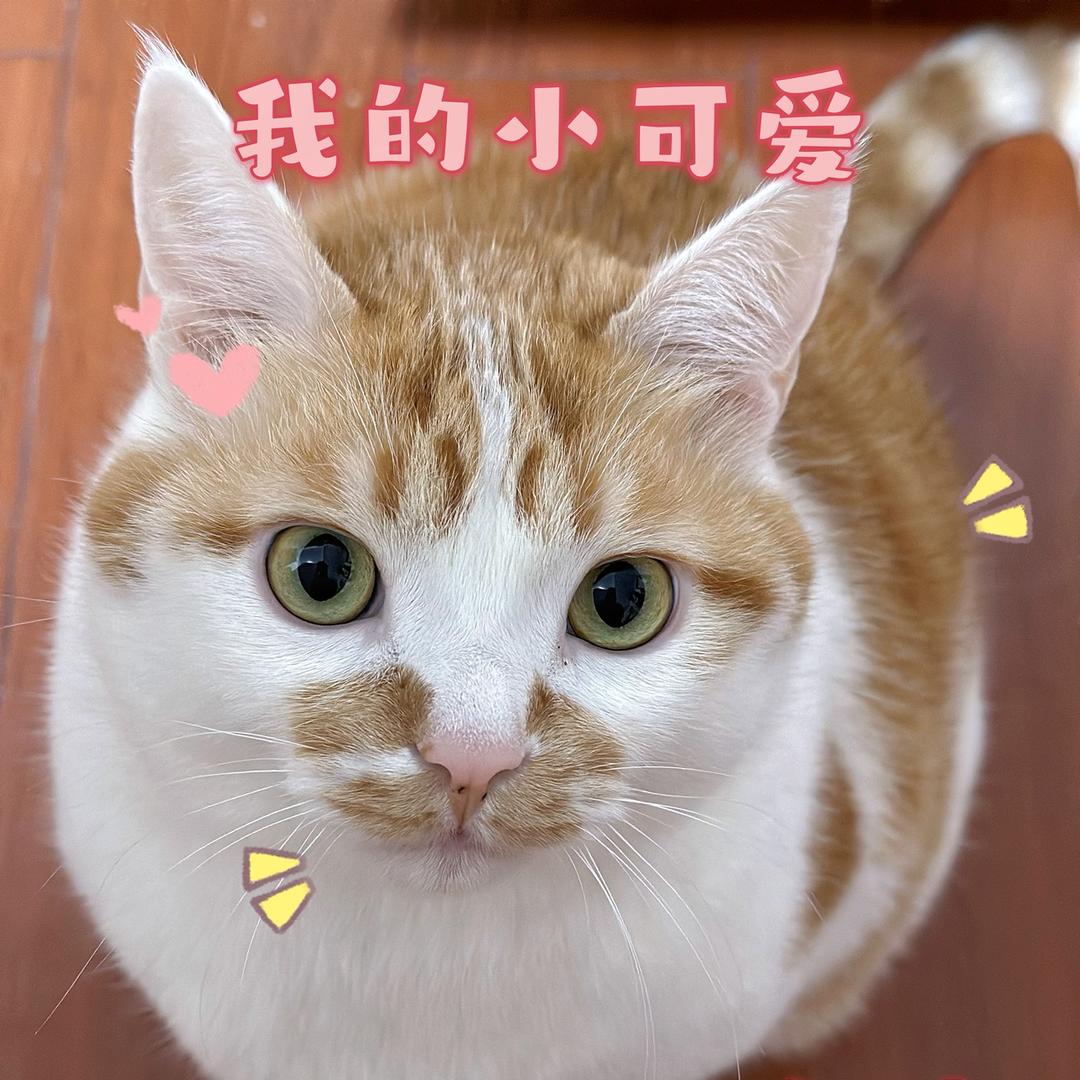 🌈锦鲤等等
