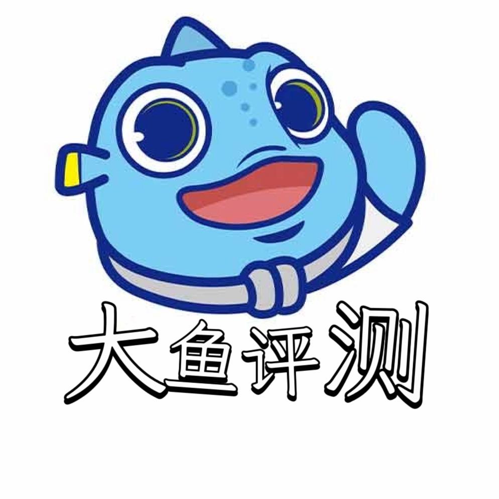 大鱼测评