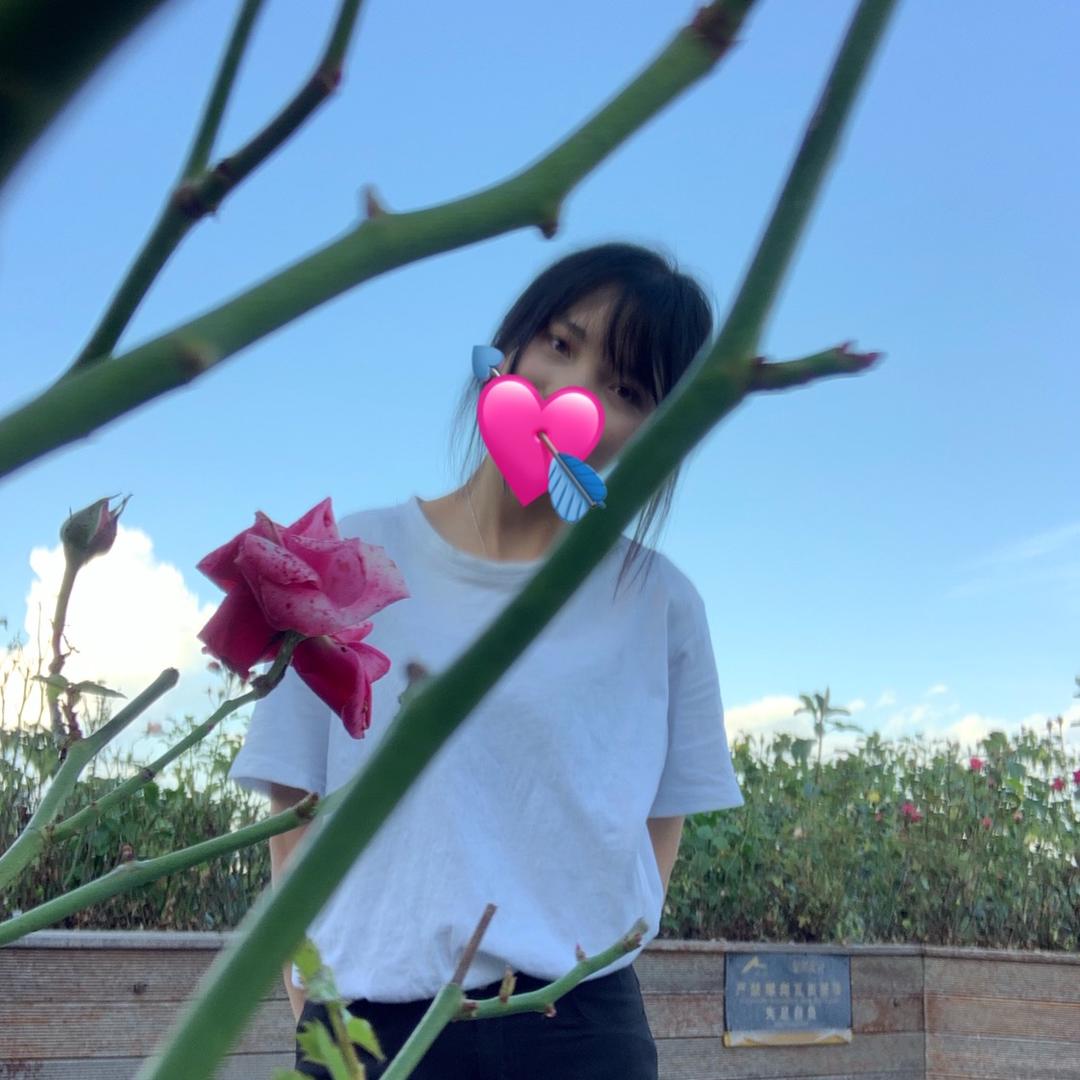 是琴姑娘呀