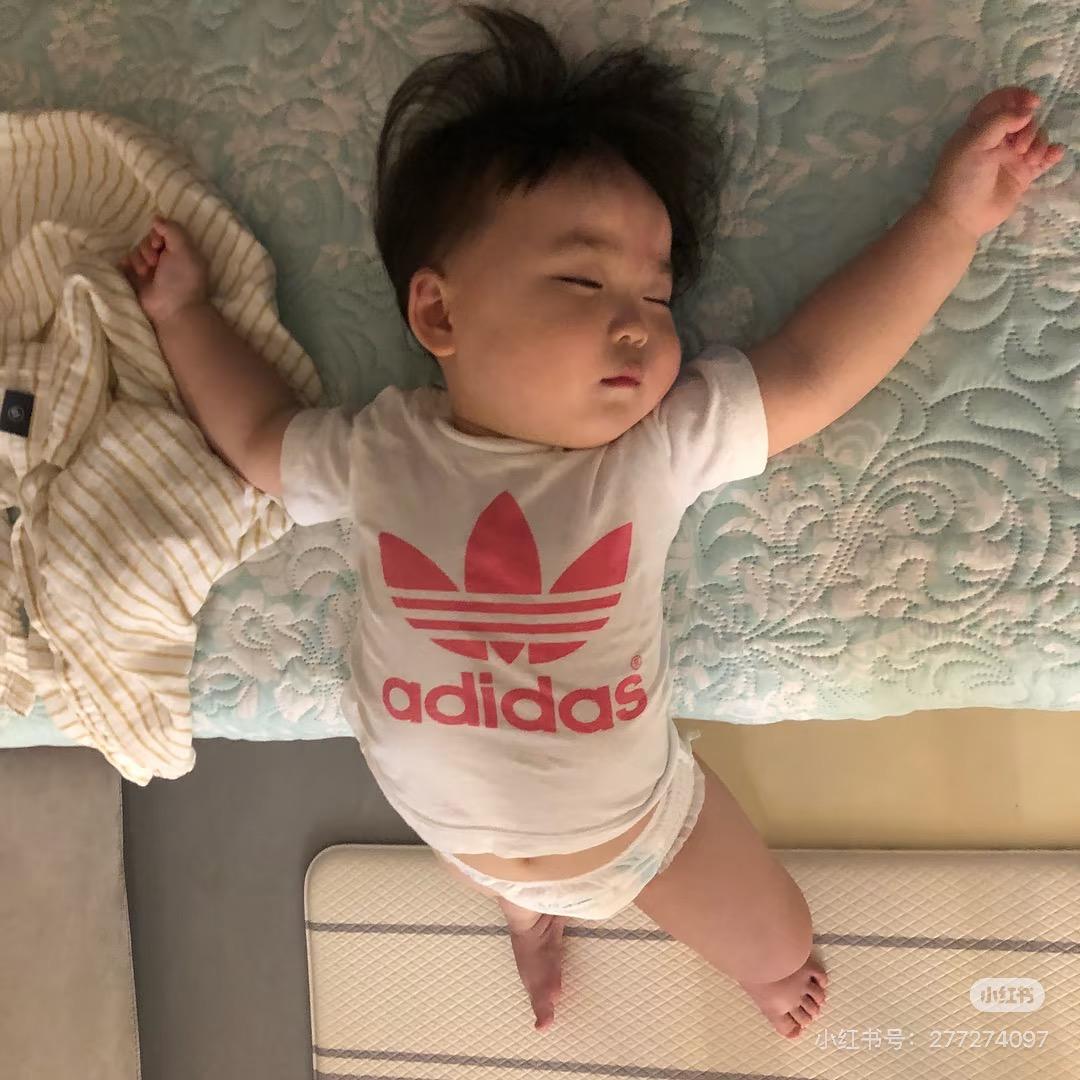 吃饱程的（小程程版）