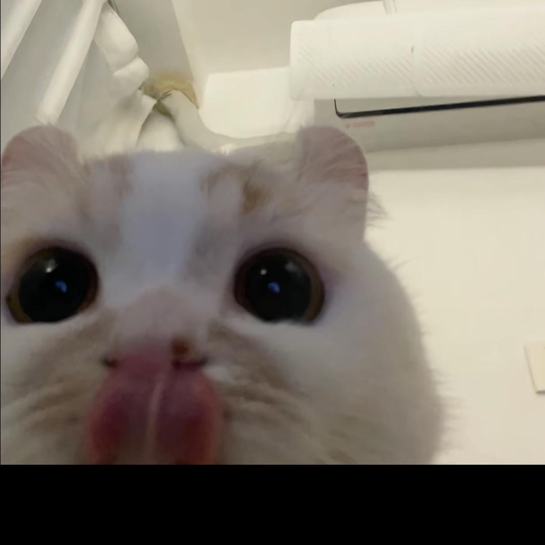 我也不太了解他