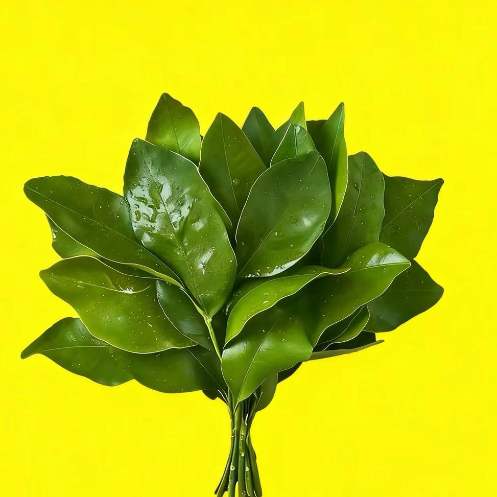 -✨偷亲星星🌈