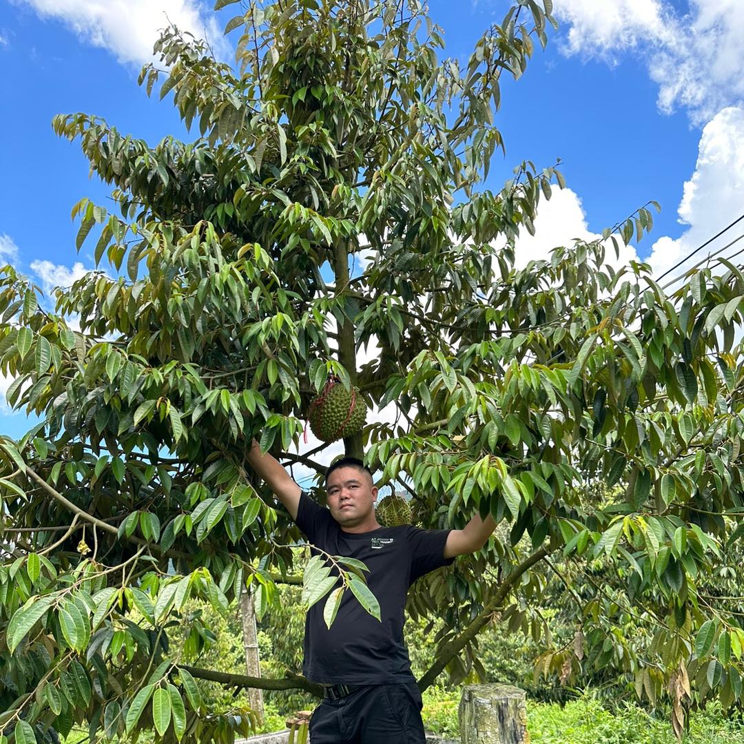 精诚恒创郡邦果树苗木专卖店