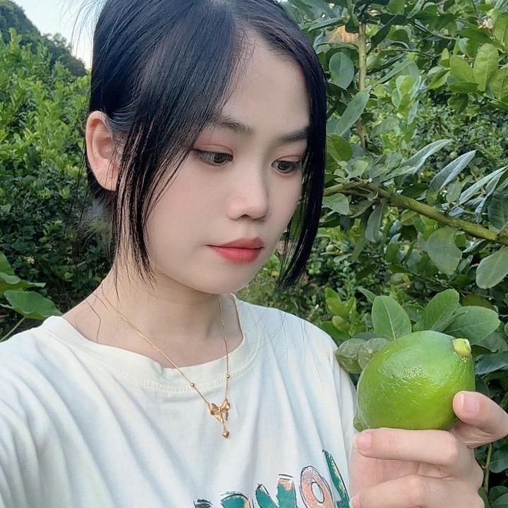 🍋小李爱吃柠檬🍋
