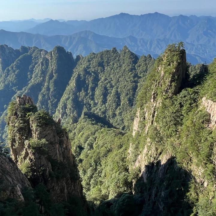 德義