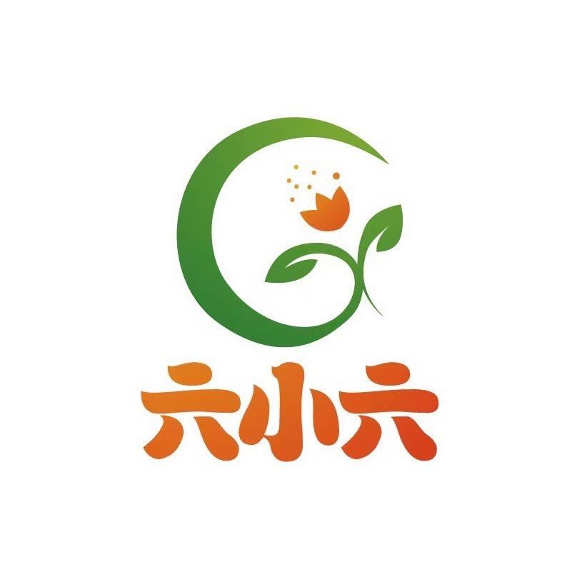 六小六