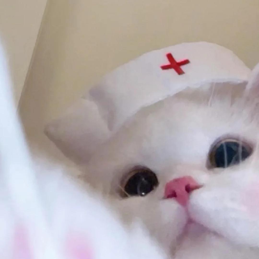 11酱啊