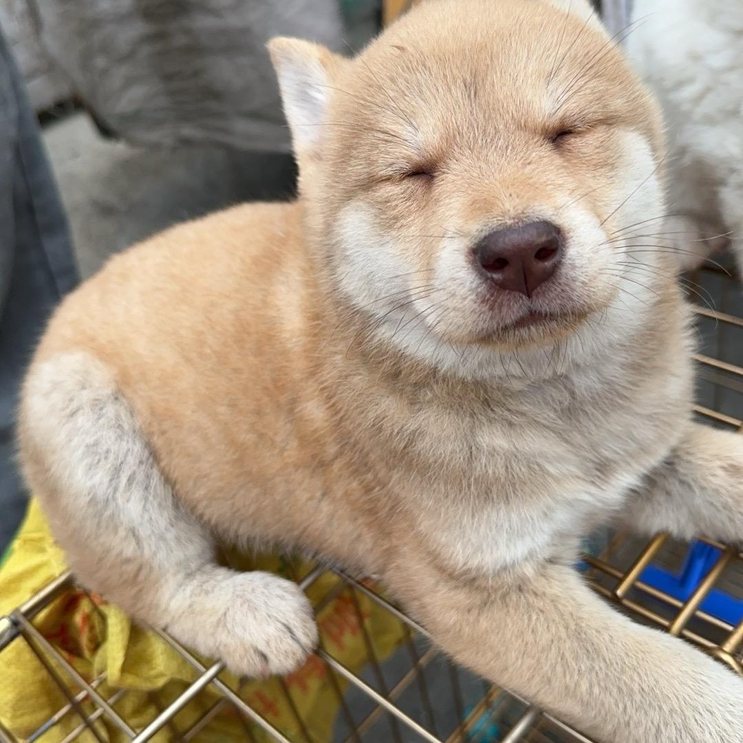 琛远直播号！！！！！