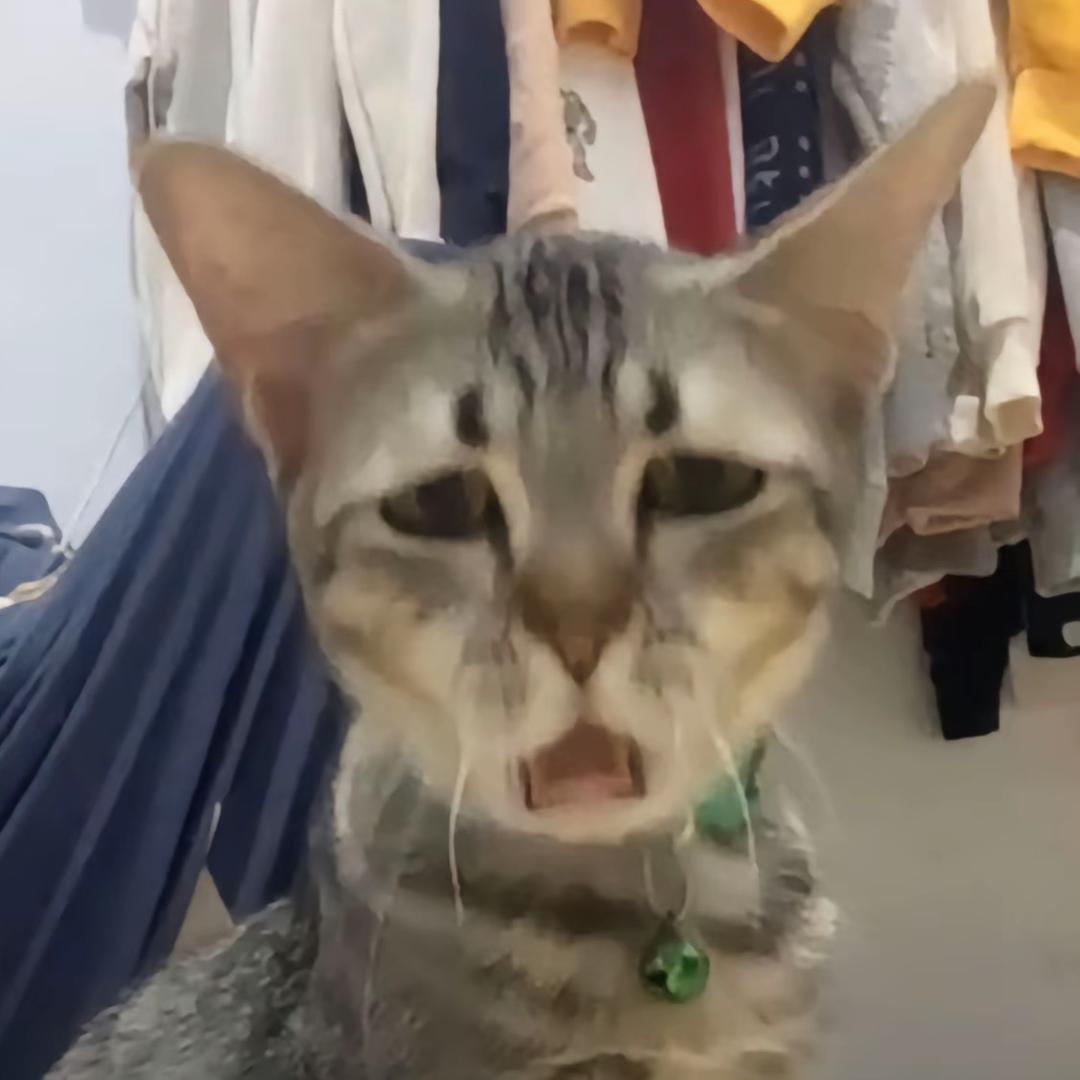 纸包猪本人
