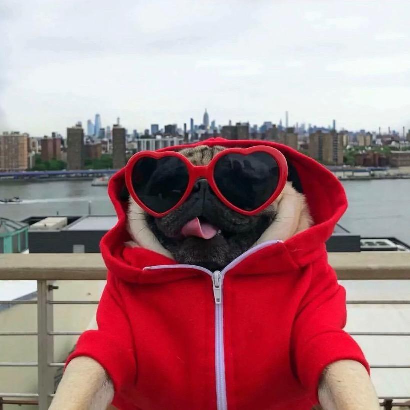 小饭（地铁逃生）