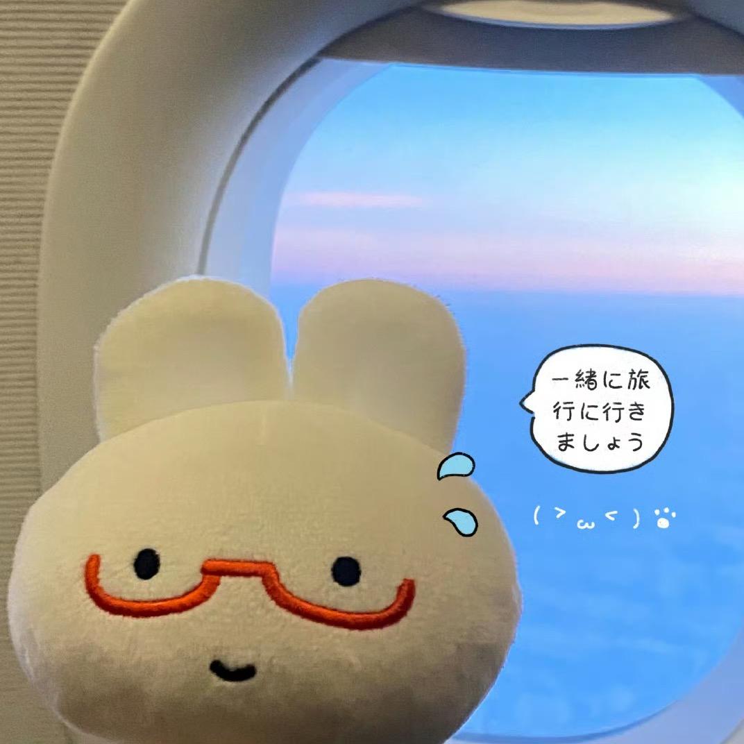 荷豚豚⸮¿?