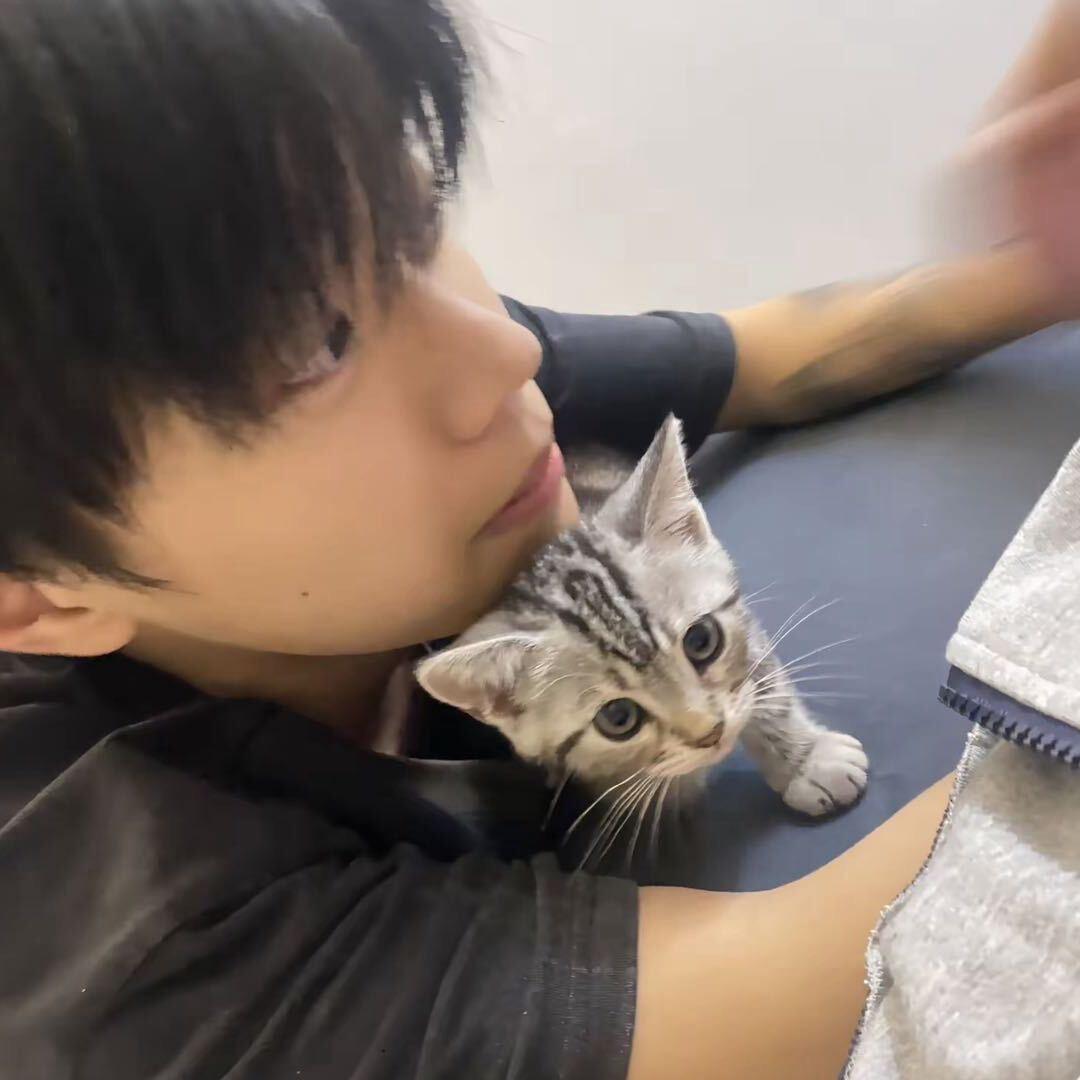 小狗碎冰冰🧊