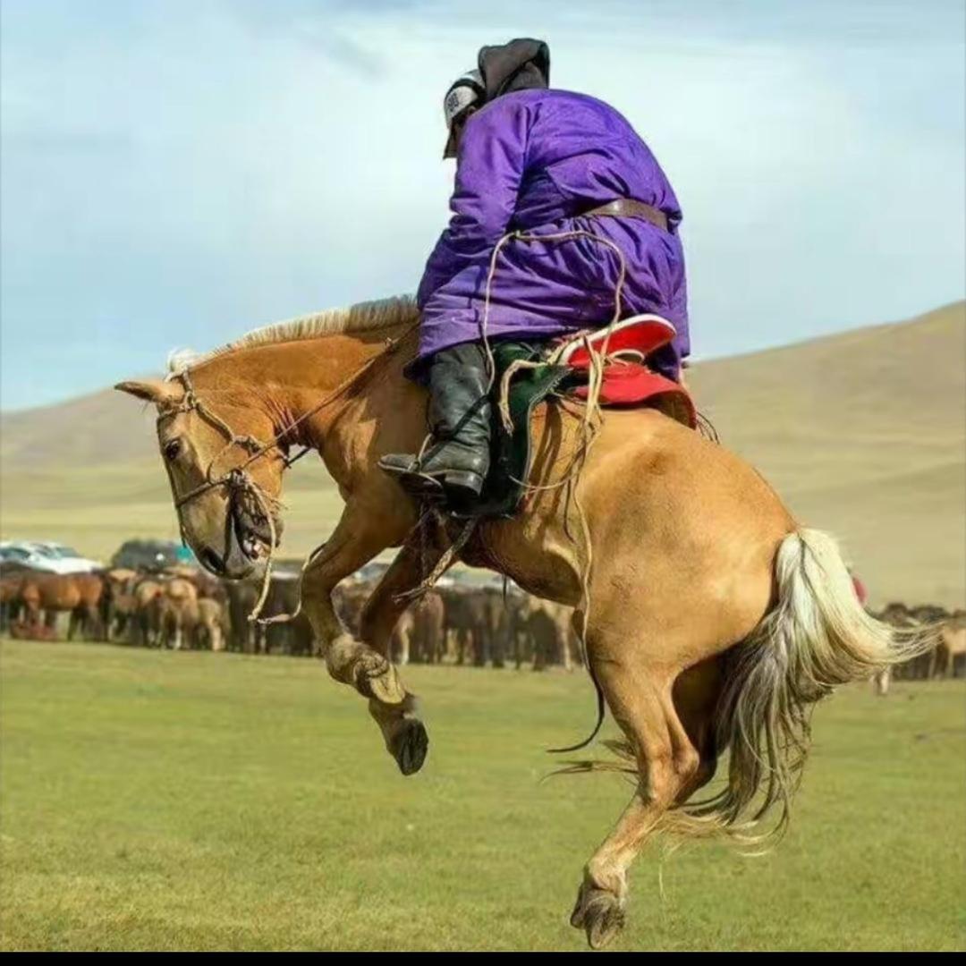 🐎 ᠡᠮᠨᠢᠭᠴᠢᠨ 🐎