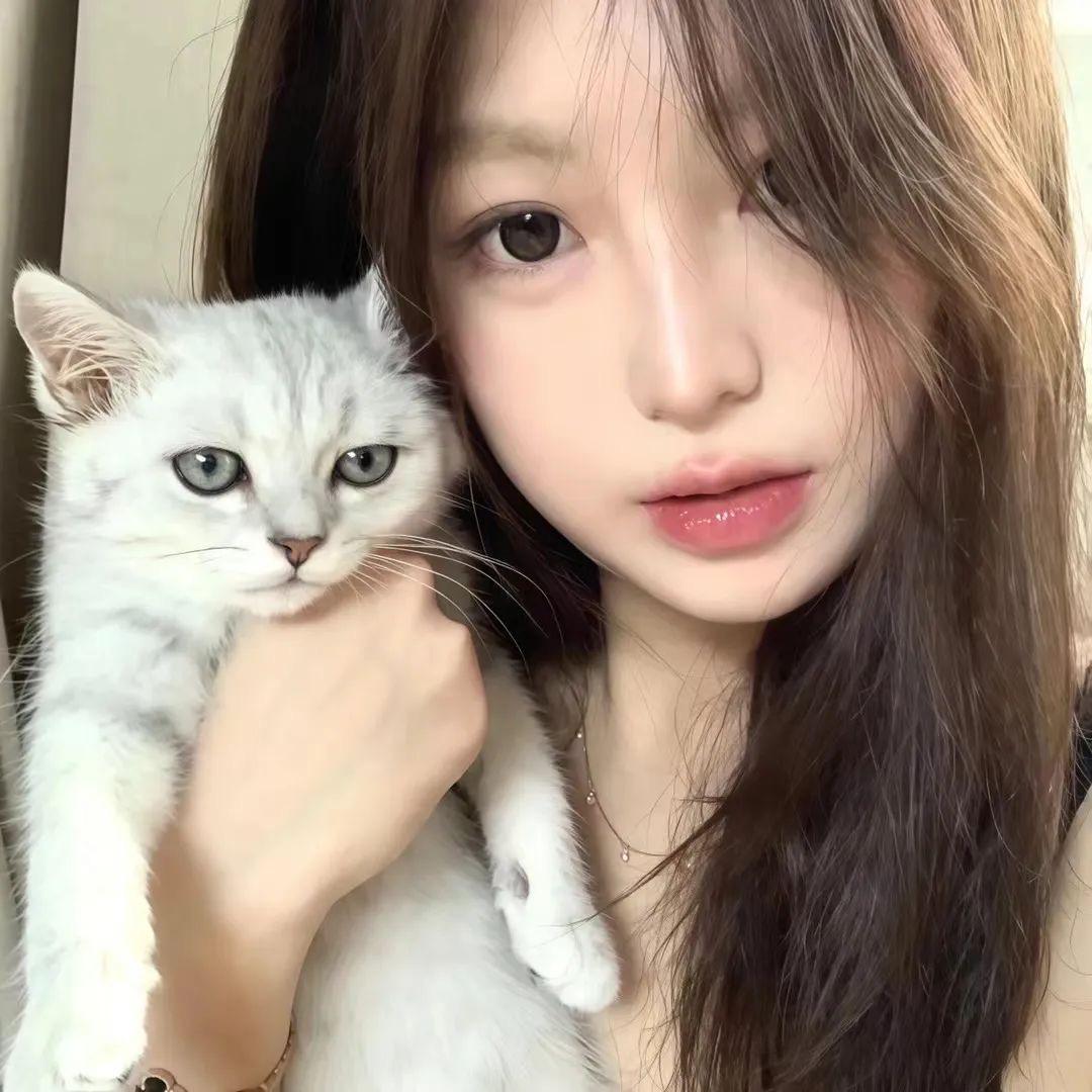 善良但手里有🧱