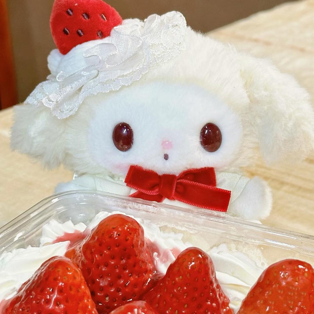 猪猪中古玩具屋