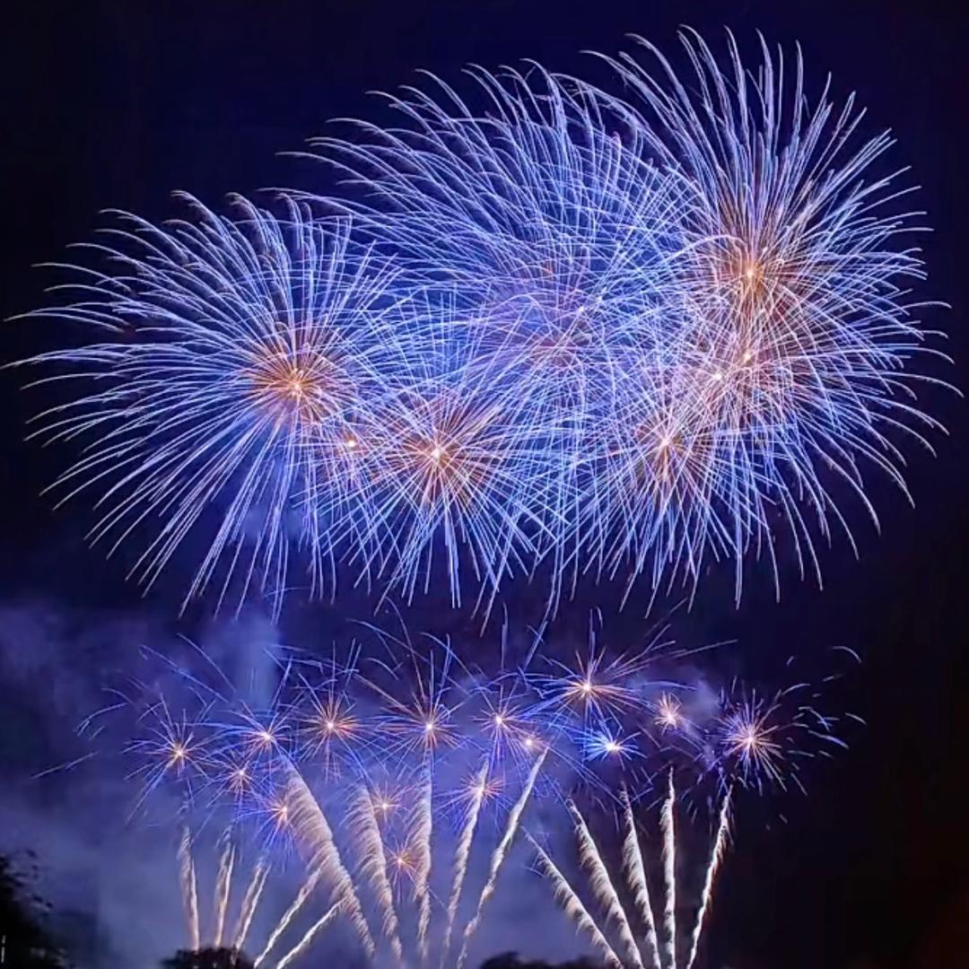 ͏͏͏͏͏͏♬♩进宝♬♩