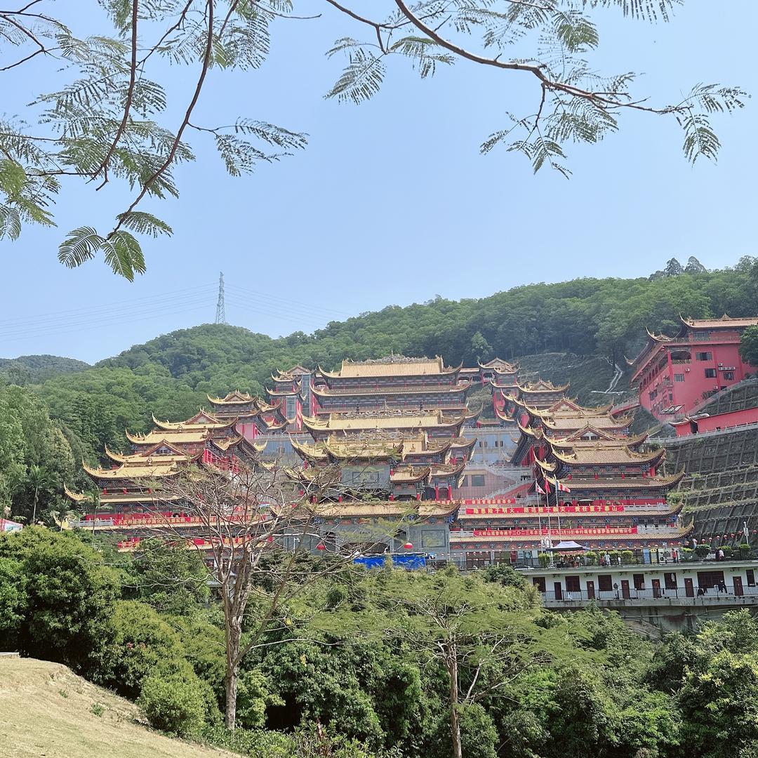 龙椅霸主柳芝头像