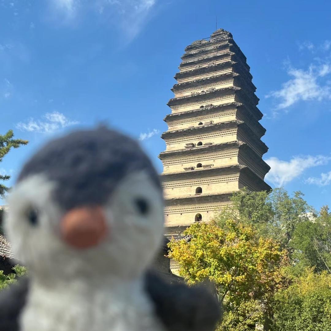 广饶正炫乒乓球