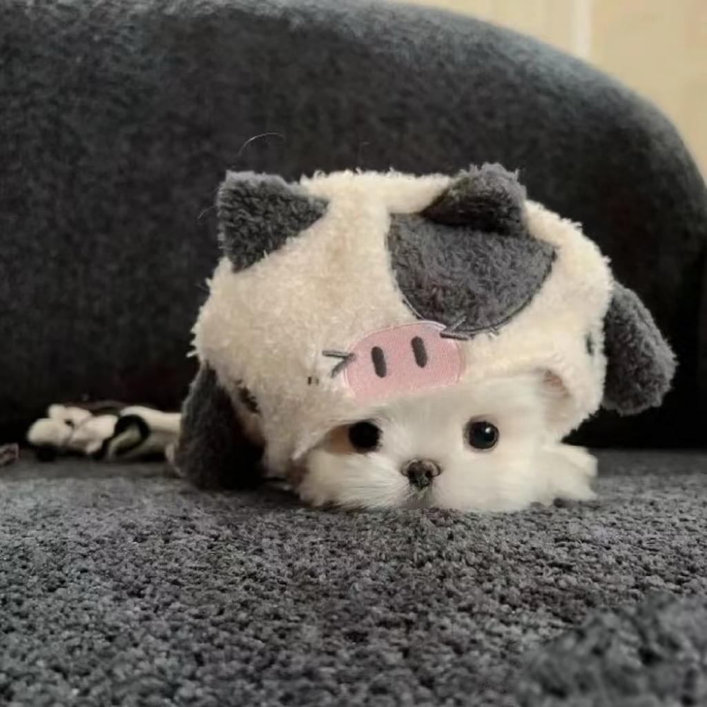 睡不饱的觉.💤
