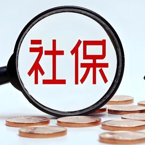 社保缴纳周老师