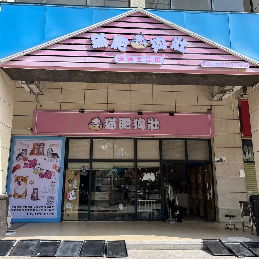 湛江荣盛华府猫肥狗壮宠物店