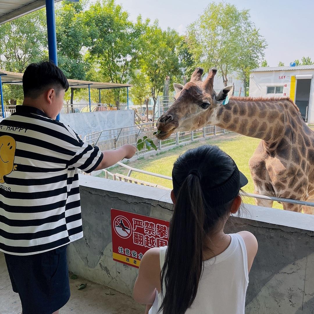 莘县商贸港石记啤酒鸭