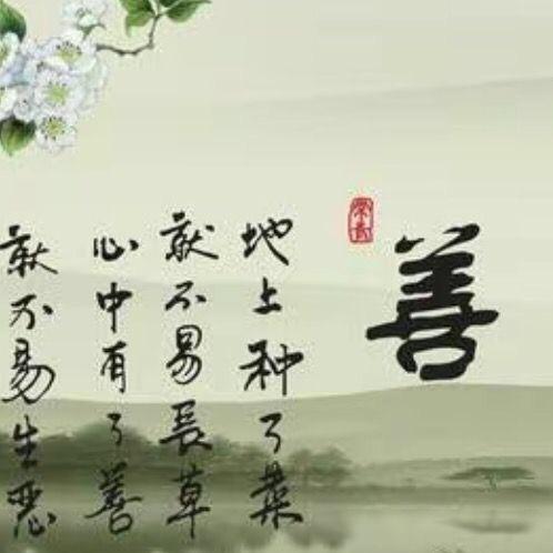 圆愿