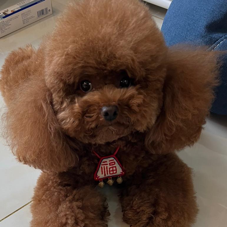 毛线麻麻