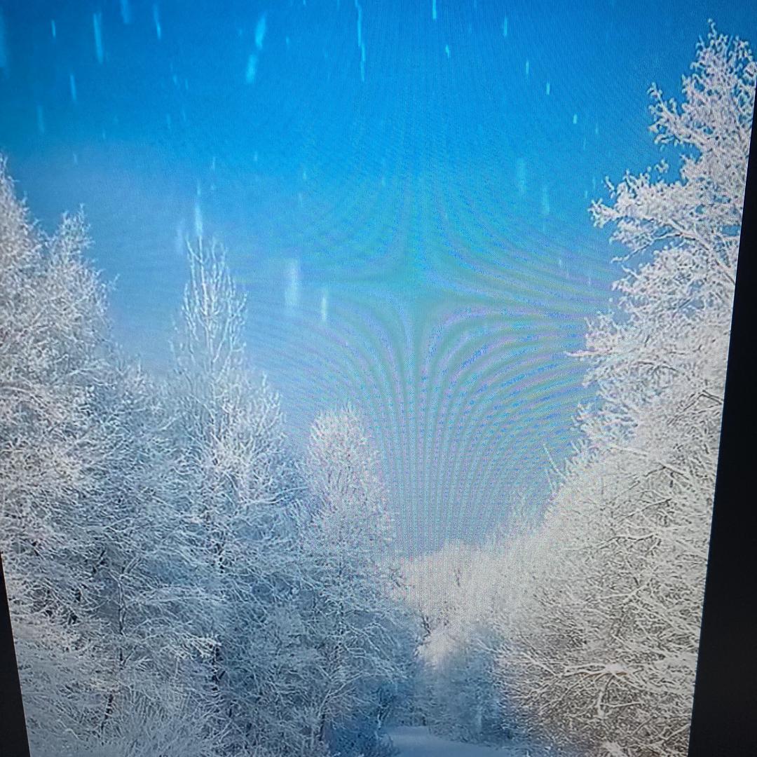 鹏堋服装经营部