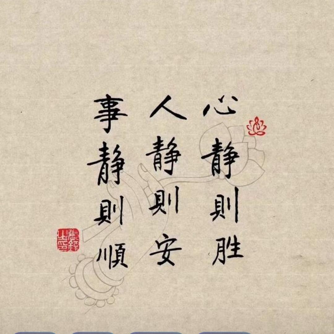 ☘️笨笨☘️