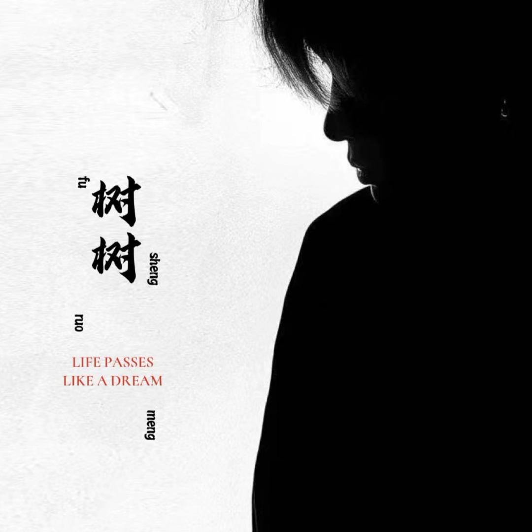 树树超酷