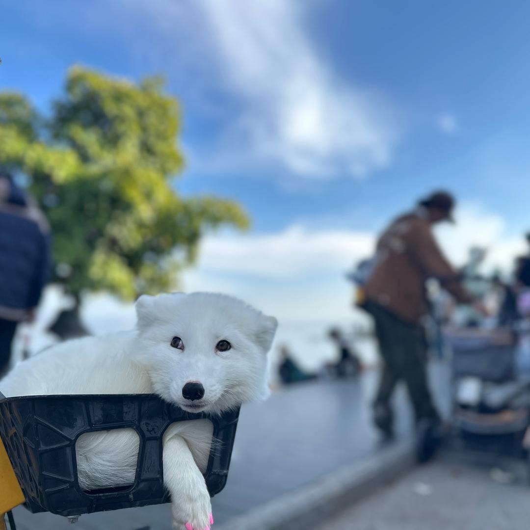 L♥️