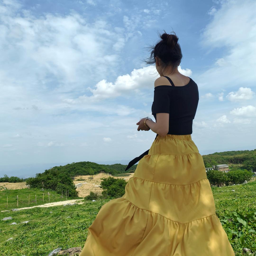 小燕子穿花衣